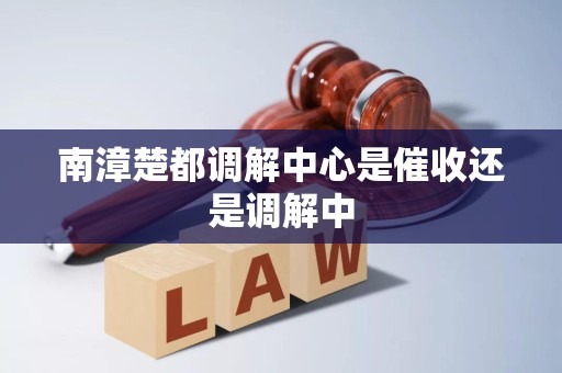 南漳楚都调解中心是催收还是调解中