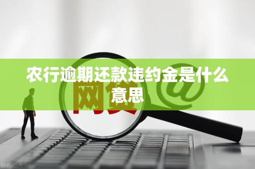 农行逾期还款违约金是什么意思 农行逾期还款违约金是什么意思