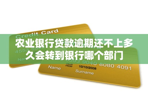 农业银行贷款逾期还不上多久会转到银行哪个部门