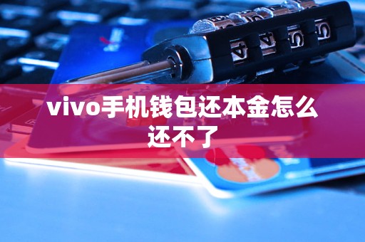 vivo手机钱包还本金怎么还不了