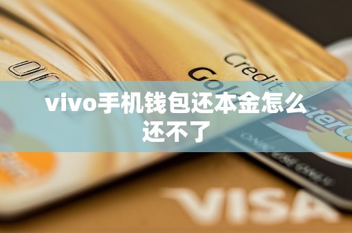vivo手机钱包还本金怎么还不了