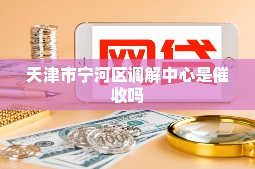 天津市宁河区调解中心是催收吗