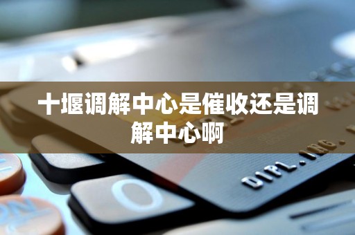 十堰调解中心是催收还是调解中心啊