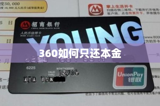 360如何只还本金