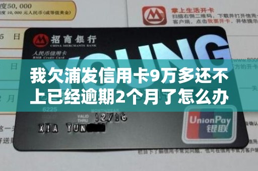 我欠浦发信用卡9万多还不上已经逾期2个月了怎么办