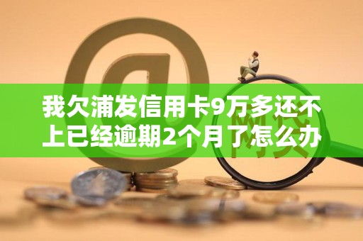 我欠浦发信用卡9万多还不上已经逾期2个月了怎么办