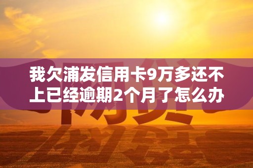 我欠浦发信用卡9万多还不上已经逾期2个月了怎么办
