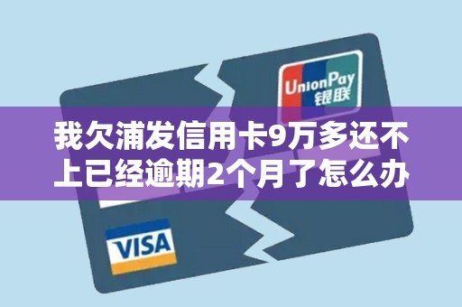 我欠浦发信用卡9万多还不上已经逾期2个月了怎么办