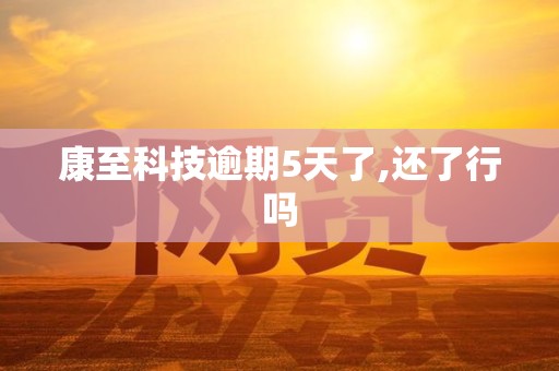 康至科技逾期5天了,还了行吗