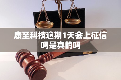 康至科技逾期1天会上征信吗是真的吗