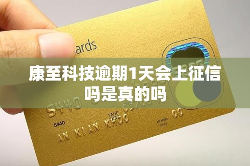 康至科技逾期1天会上征信吗是真的吗