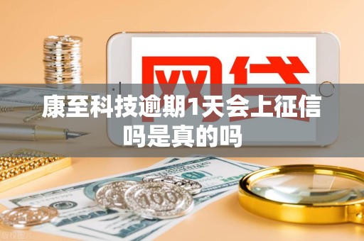 康至科技逾期1天会上征信吗是真的吗