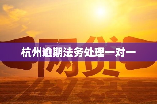 杭州逾期法务处理一对一