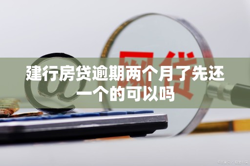 建行房贷逾期两个月了先还一个的可以吗
