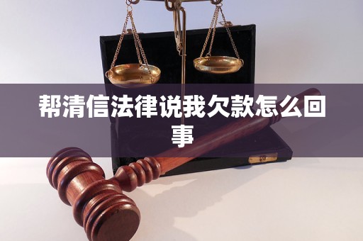 帮清信法律说我欠款怎么回事
