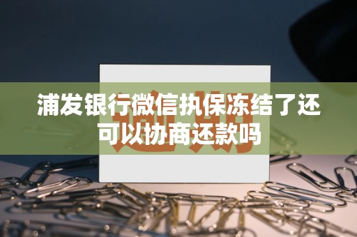 浦发银行微信执保冻结了还可以协商还款吗