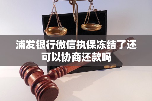 浦发银行微信执保冻结了还可以协商还款吗