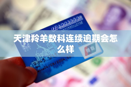 天津羚羊数科连续逾期会怎么样