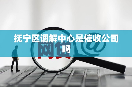 抚宁区调解中心是催收公司吗