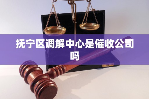 抚宁区调解中心是催收公司吗