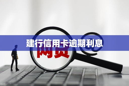 建行信用卡逾期利息