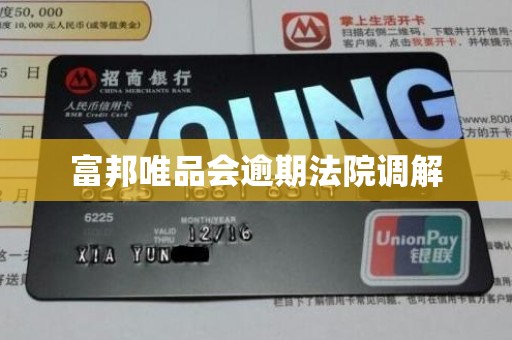 富邦唯品会逾期法院调解