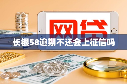 长银58逾期不还会上征信吗
