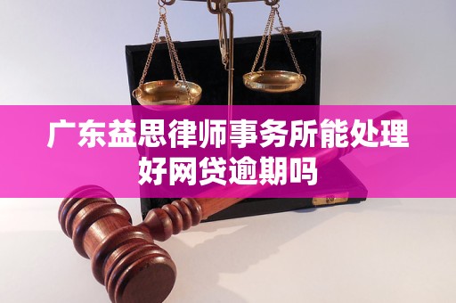 广东益思律师事务所能处理好网贷逾期吗