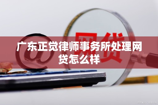 广东正觉律师事务所处理网贷怎么样