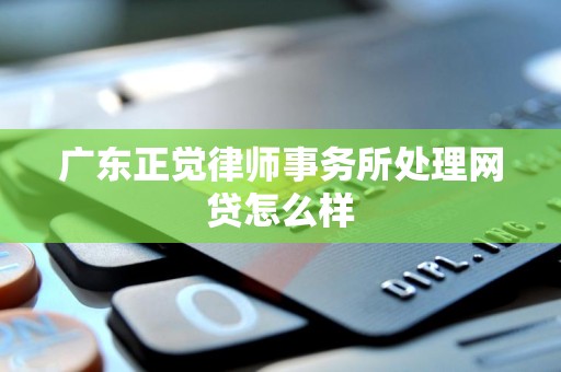 广东正觉律师事务所处理网贷怎么样