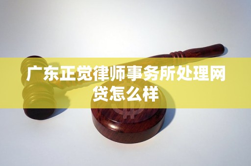 广东正觉律师事务所处理网贷怎么样