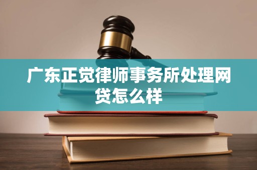 广东正觉律师事务所处理网贷怎么样