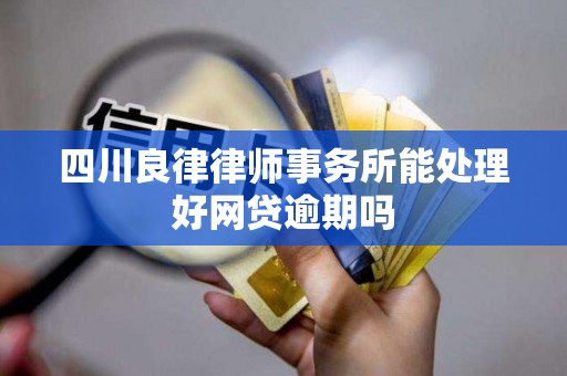 四川良律律师事务所能处理好网贷逾期吗