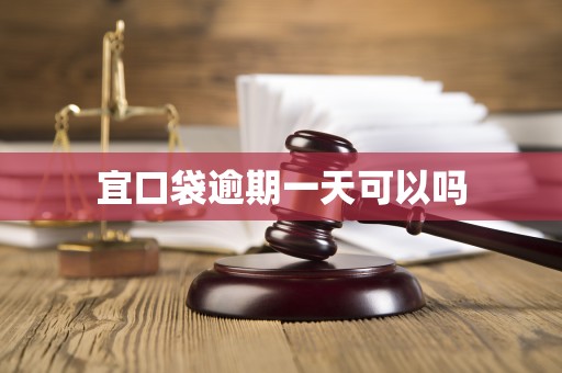 宜口袋逾期一天可以吗