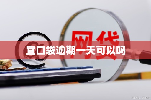 宜口袋逾期一天可以吗