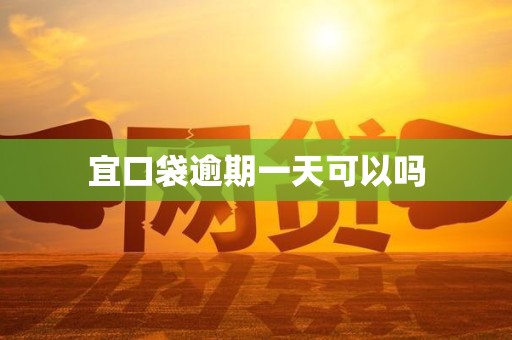 宜口袋逾期一天可以吗