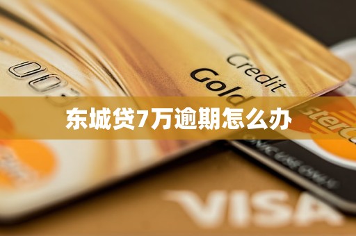 东城贷7万逾期怎么办
