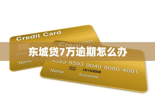 东城贷7万逾期怎么办
