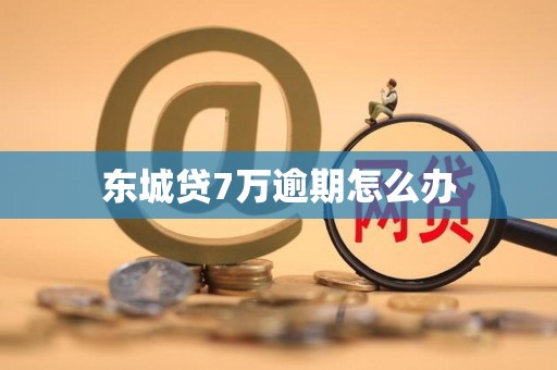 东城贷7万逾期怎么办