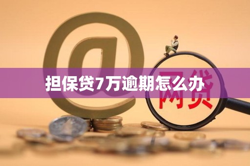 担保贷7万逾期怎么办