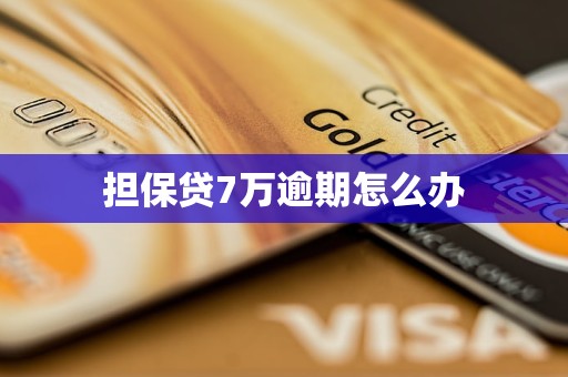 担保贷7万逾期怎么办