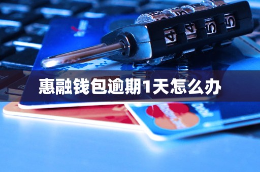 惠融钱包逾期1天怎么办