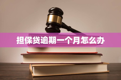 担保贷逾期一个月怎么办