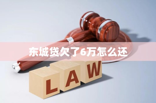 东城贷欠了6万怎么还