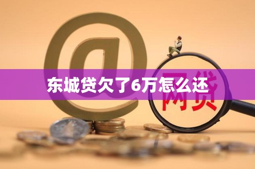 东城贷欠了6万怎么还