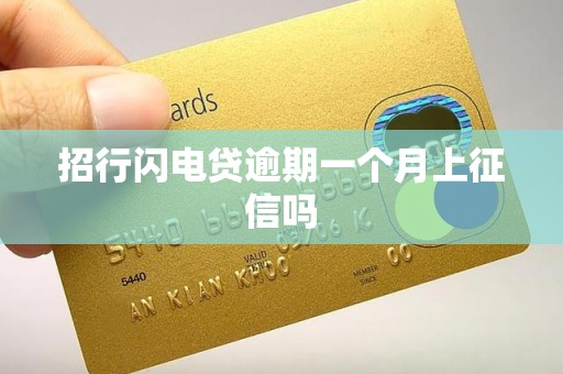 招行闪电贷逾期一个月上征信吗 招行闪电贷逾期一个月上征信吗