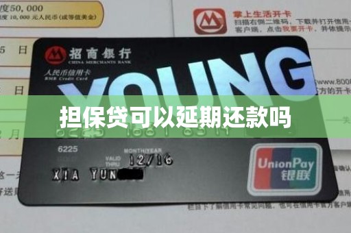 担保贷可以延期还款吗