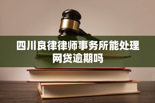 四川良律律师事务所能处理网贷逾期吗
