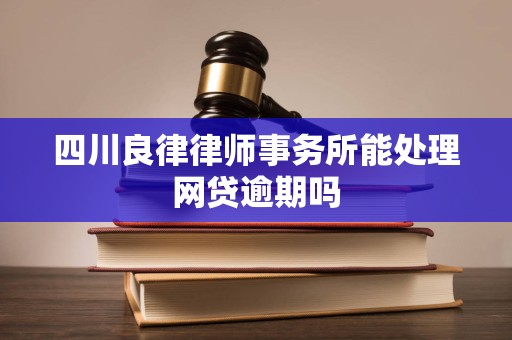 四川良律律师事务所能处理网贷逾期吗