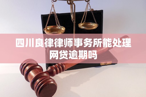 四川良律律师事务所能处理网贷逾期吗